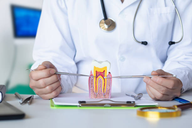 Best Emergency Care for Gum Disease in Lakemoor, IL